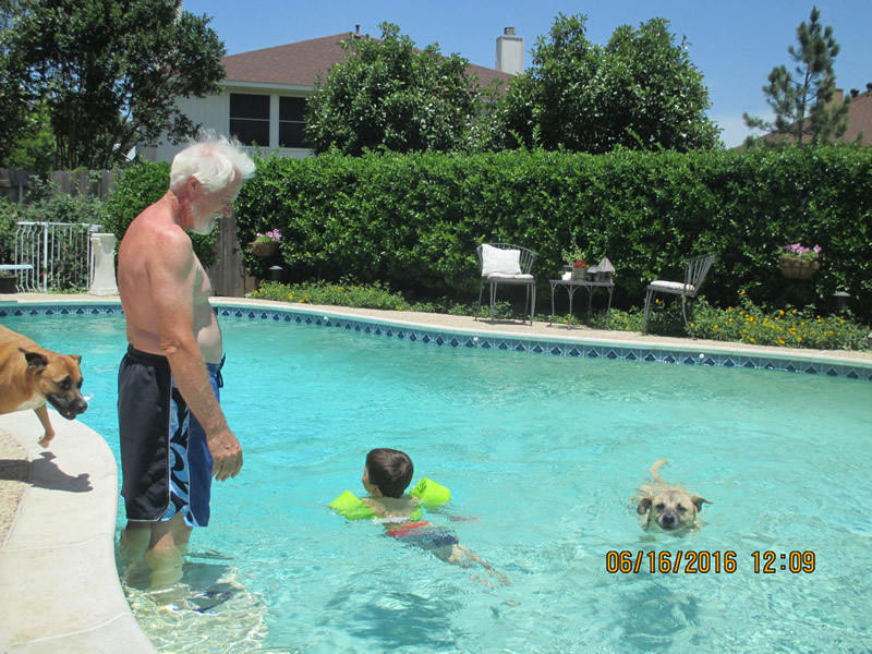 Arlington TX Swimming Pool