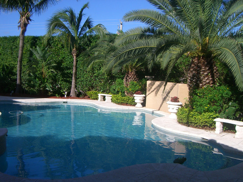 Miami Lakes FL Swimming Pool
