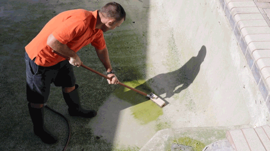 How To Drain and Clean A Swimming Pool - brush algae off pool walls
