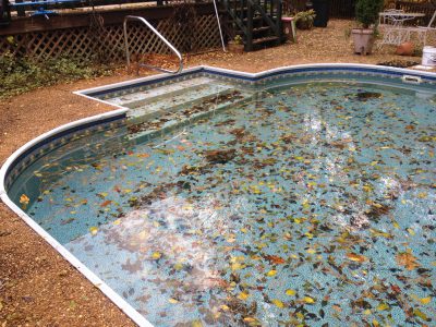 Should I cover My Pool for the Winter