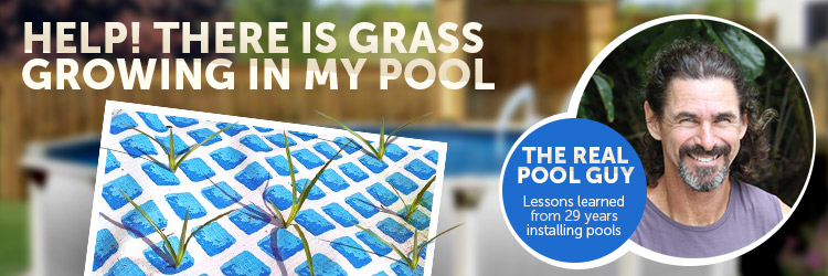 Help There is Grass Growing in My Pool! - INYOPools.com - DIY ...