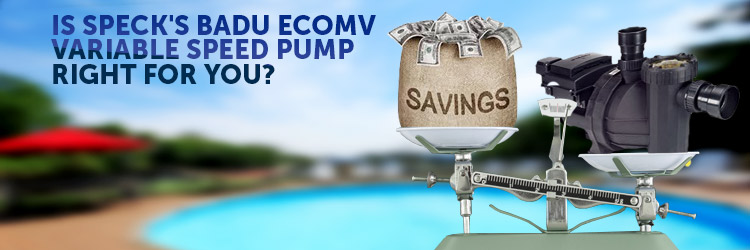 Is Speck's Badu EcoMV Variable Speed Pump Right For You?