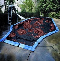 Blog-Image-Pool-Cover-Leaves