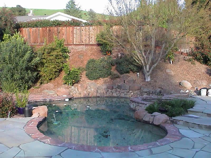 Danville CA Swimming Pool