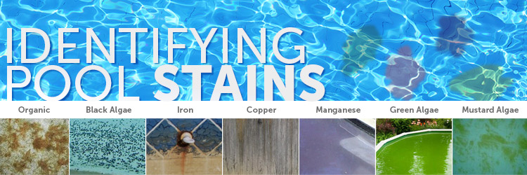 Identifying Pool Stains