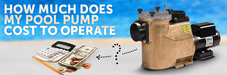 How Much Does a Pool Pump Cost to Run