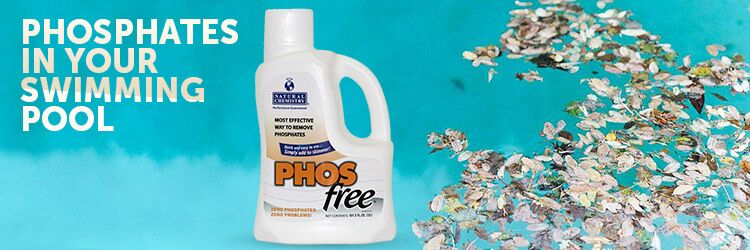 Can You Swim After Adding Phosphate Remover Phosphates In Your Swimming Pool Inyopools Com Diy Resources