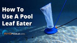 How To Use A Pool Leaf Eater Vacuum