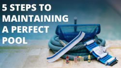 5 Steps To Maintaining A Perfect Pool